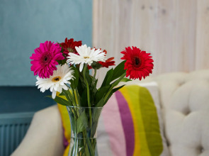 Апартаменты Норд Стар