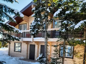 Shipovnik Guest House