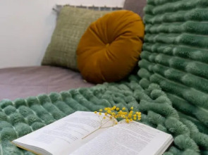 Квартира Пушкинский 1