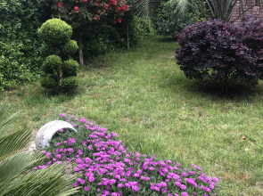 Гостевой Дом Апельсин