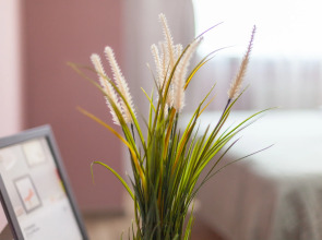 Апартаменты RentPlaza класса Lux