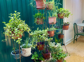 Гостевой дом Ксения у моря