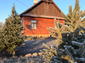 Agrousadyba Belovezhskaya Svetlitsa Guest House