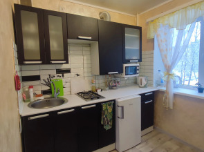 Апартаменты Квартира в Центре Великого Новгорода