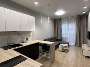 Апартаменты Двухкомнатная квартира 210 Онегономе в ЖК Высокий Стандарт