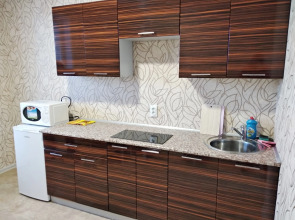 Апартаменты Гоголя 26-3