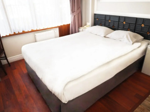 Отель Bakirkoy Tashan Business& Airport Hotel