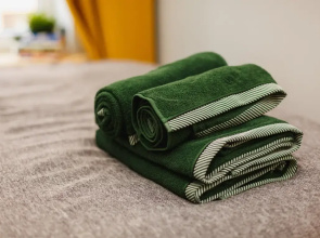 Апартаменты Vincent Apart 1