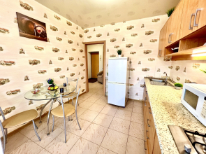 Уютные Апартаменты в Центре Города рядом с пл. Куйбышева (ул. Галактионовская 106А)