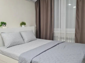 Comfort u centra Apartments