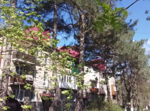 Квартира Комфорт