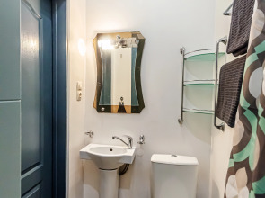 Апартаменты 1-к квартира (24) на Никитинской 108