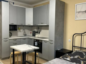 Апартаменты Студия Malina Apartment в ЖК Спутник