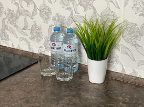 Элегантные Апартаменты ЖК Романов