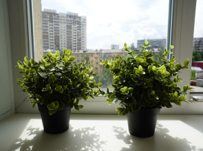 Квартира Галущака 15 (198)