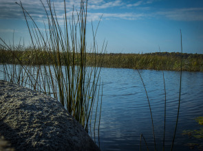 Гостевой дом хутор Скреблово