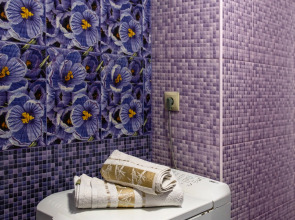 Квартира уютная студия Piligrim KMV