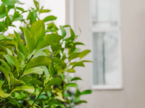 Гостевой дом Мзымта