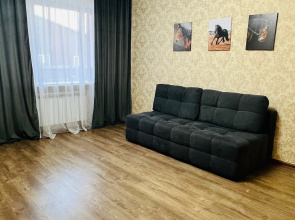 Квартира я дома на ул Черокманова 2