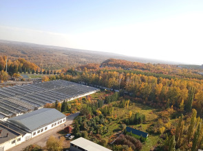 Квартира Уютная у Венского леса и санатория Зелёная Роща