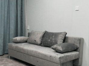 Квартира 1к Володарского 15 Центр