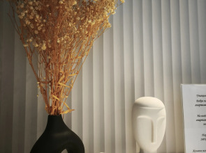 Апартаменты Serenity в окружении Реликтового Леса