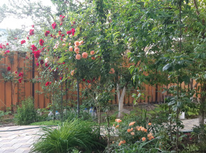 Гостевой дом Дуэт