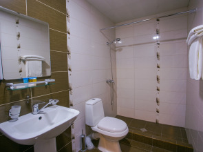 Отель Ani Central Inn