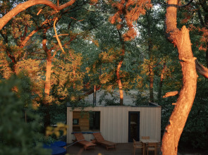 Глэмпинг Викингуд