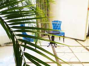 Апартаменты Elagin Studio