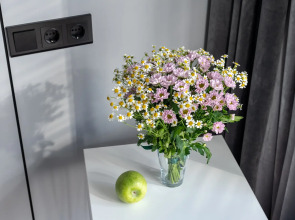 Апартаменты с 1 Спальней Премиум в ЖК Зиларт