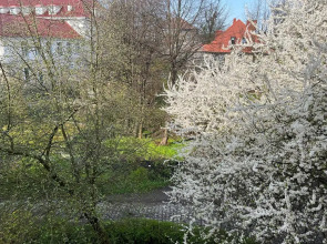 Апартаменты на Чайковского 16 ,Исторический район Хуфен (Бывшая Шуберт штрассе)