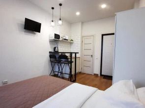 Апартаменты студия Кошурникова 23/1