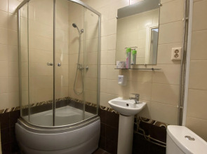 Отель Лососинская