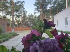 Мини-отель Подснежник