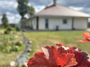 Art-House Guest House