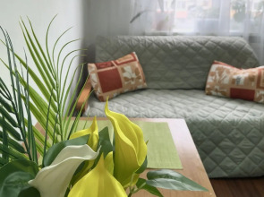 Квартира ТутУютно на Волотовской «Нежный Ирис»