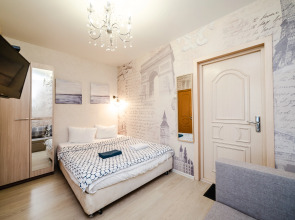 Апартаменты Автозаводская 19к1 (223)