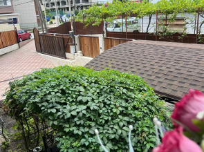 Гостевой дом Амалия