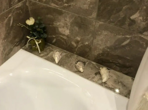 Квартира VIP Апартаменты NEW