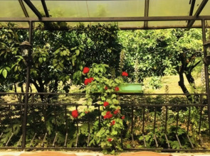 Мини-отель Мандариновый сад