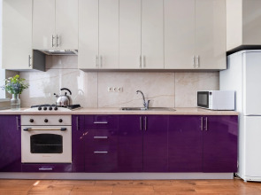 Квартира уютная студия Piligrim KMV