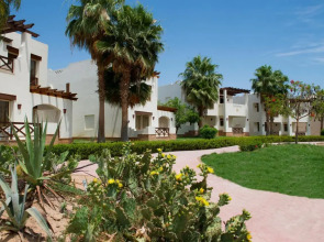 Amphoras Aqua Adults Friendly