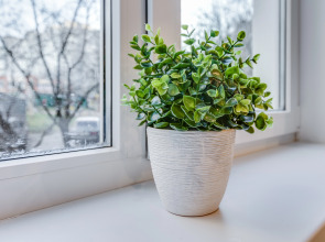 Апартаменты На Комендантском 28