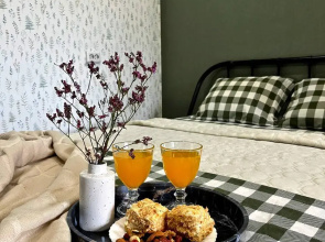 Apartamenty odnokomnatnye s vidom na gory