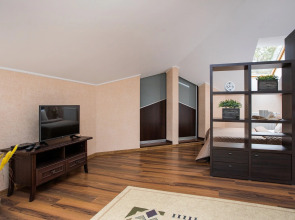 Апартаменты Апарт Трофи мансарда у парка