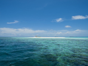 Отель Boutique Beach All Inclusive Diving