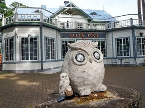 Balta Puce Hotel