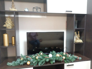 Квартира в Центре у Реки Псковы