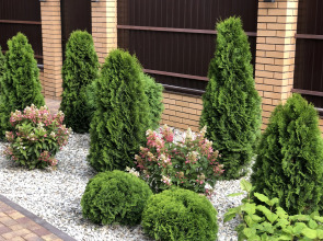 Апартаменты Инкодом